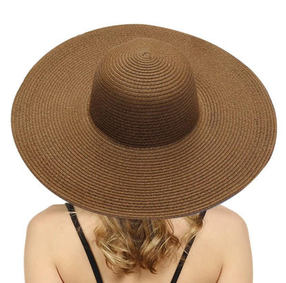 Sombrero de Ala Grande color café